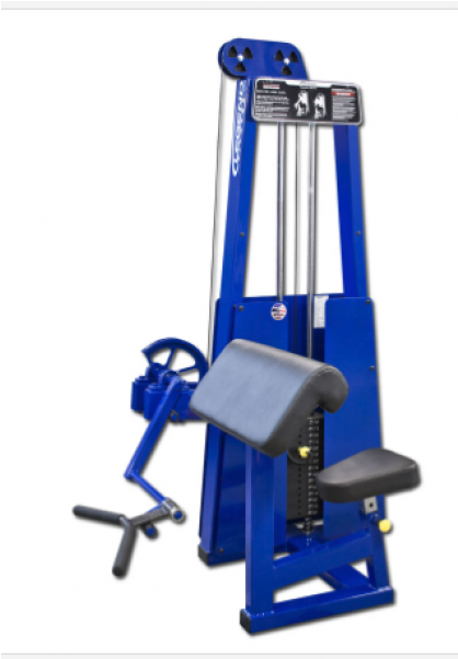 Legend Bicep Curl - Weightlifting Machine (600x600), Png Download
