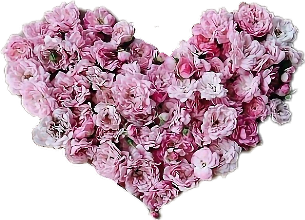 Report Abuse - Flower (1024x739), Png Download