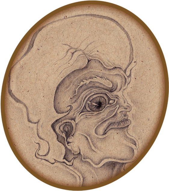 Bleed Area May Not Be Visible - Circle (600x660), Png Download