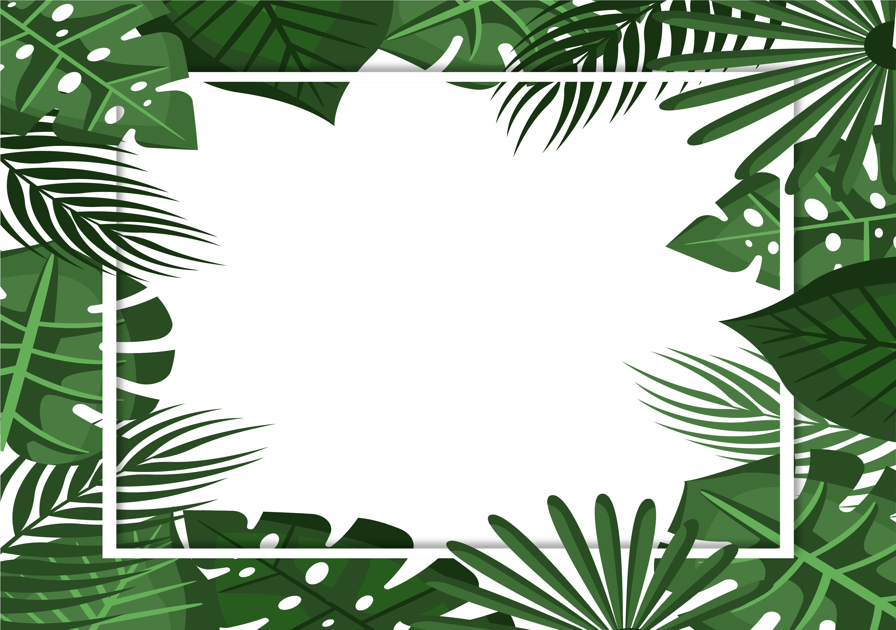 Download Tropical Frame No Shadow Illustration Full Size Png Image Pngkit