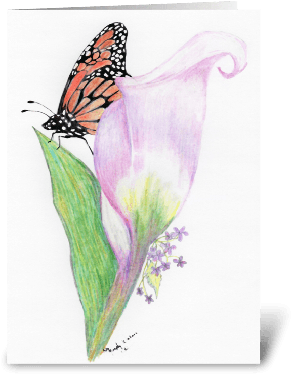 Butterfly And Calla Lily Greeting Card - Arum (700x792), Png Download