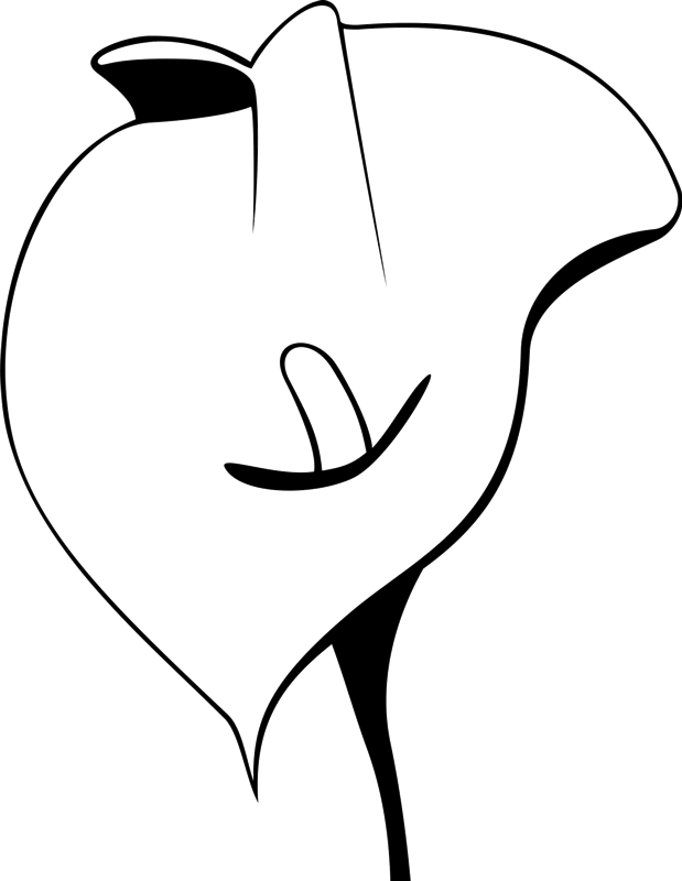 Calla Lily Outline Rubber Stamp (619x800), Png Download