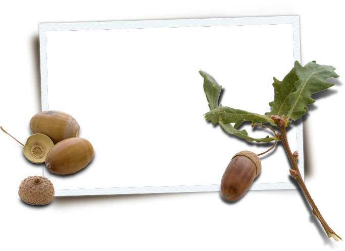 With Its Scenic Natural Setting, Modern Facilities - Frame Natur Png Transparent (683x498), Png Download