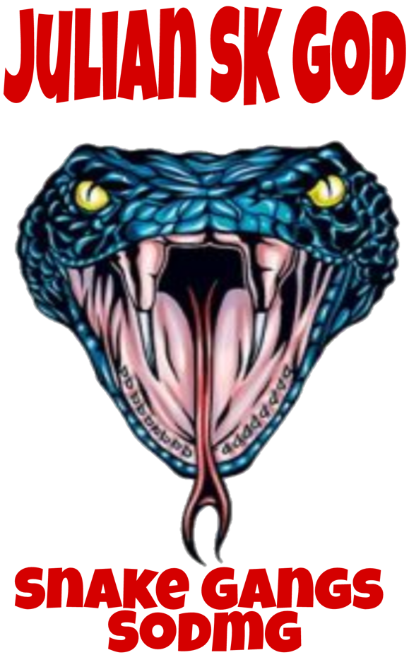 Picsart 04 10 - Snake Head Tattoo Drawing (1000x1000), Png Download