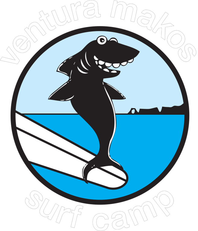 Vm Shark Art - Cartoon Shark Surfer Transparent (657x768), Png Download