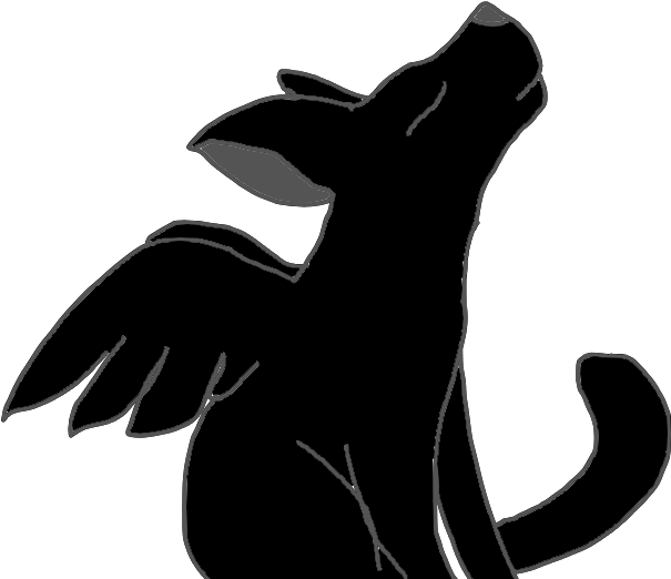 Newtfoot Is A Small Black Oriental Shorthair Male With - Macropodidae (800x600), Png Download