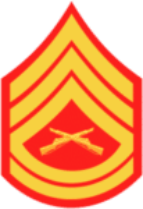 Honorary Membership Conferment - Master Sergeant Usmc (480x699), Png Download