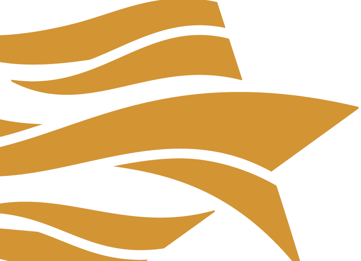 Communities Foundation Of Texas (737x534), Png Download