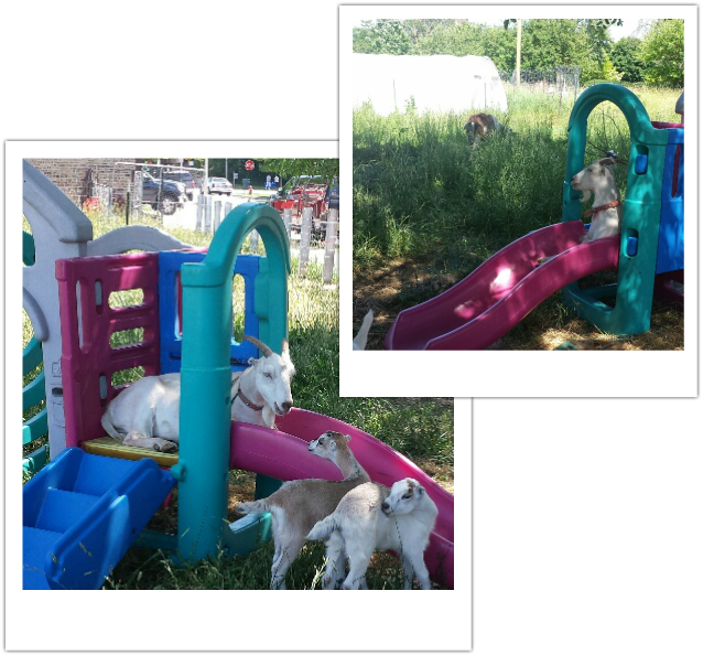 Playground Slide (638x594), Png Download