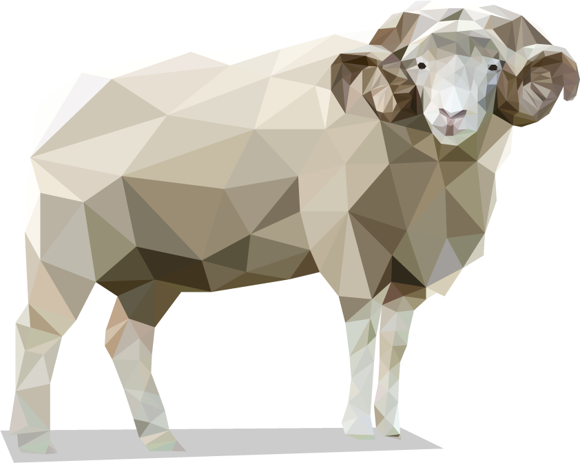 The Dorset Horn Sheep Are A Unique British Derived - Bighorn (842x673), Png Download