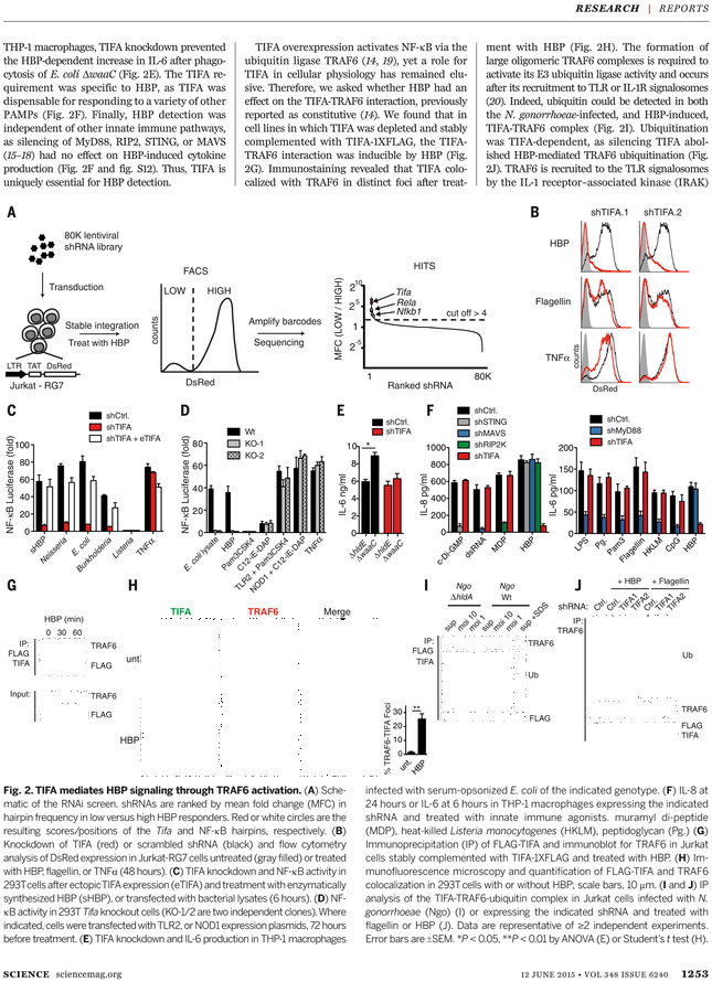 Plan (729x929), Png Download