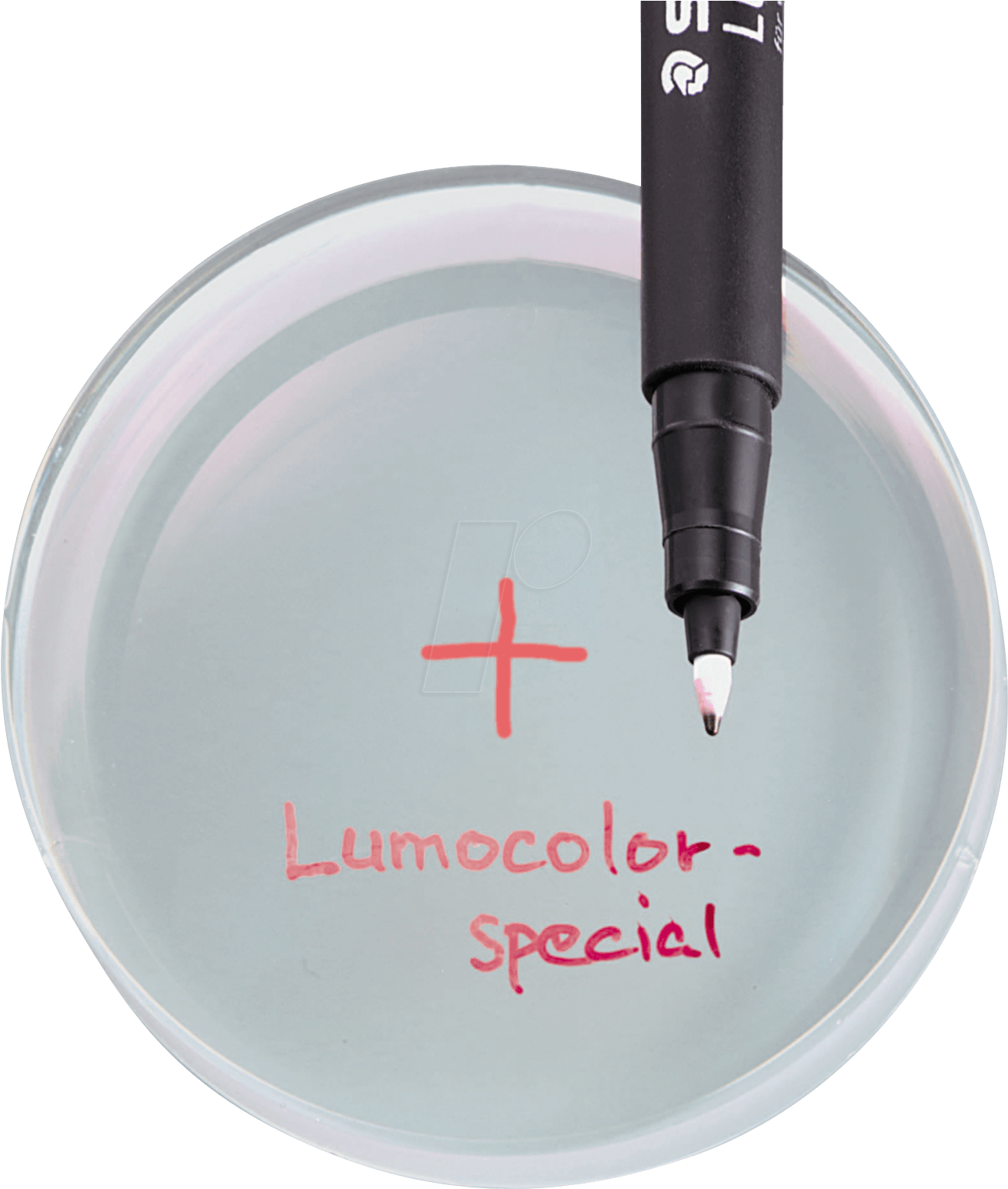 Permanent Special Pen F / - Writing (1355x1560), Png Download