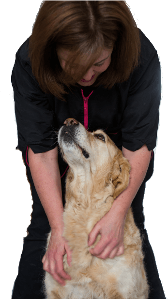 Dog Yawns (752x617), Png Download