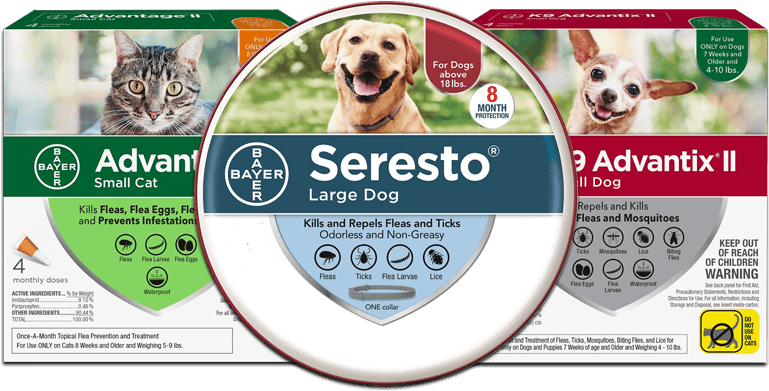 Flea And Tick Prevention Products - Bayer (800x400), Png Download