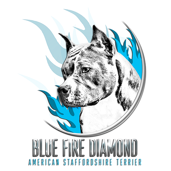 Cordoba Fighting Dog (600x597), Png Download