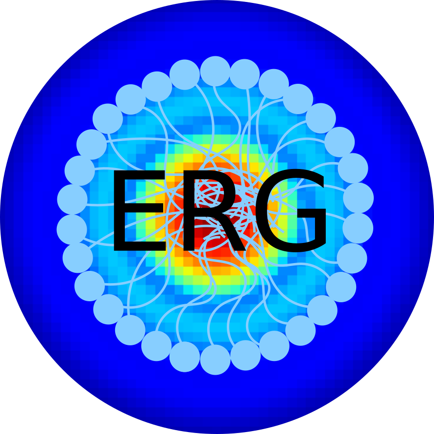 Edler Research Group - Chain With Lakshmi Gold Coins (886x886), Png Download