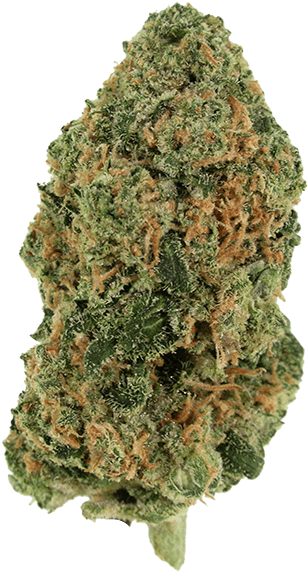 Zed - Indica - Igneous Rock (600x750), Png Download