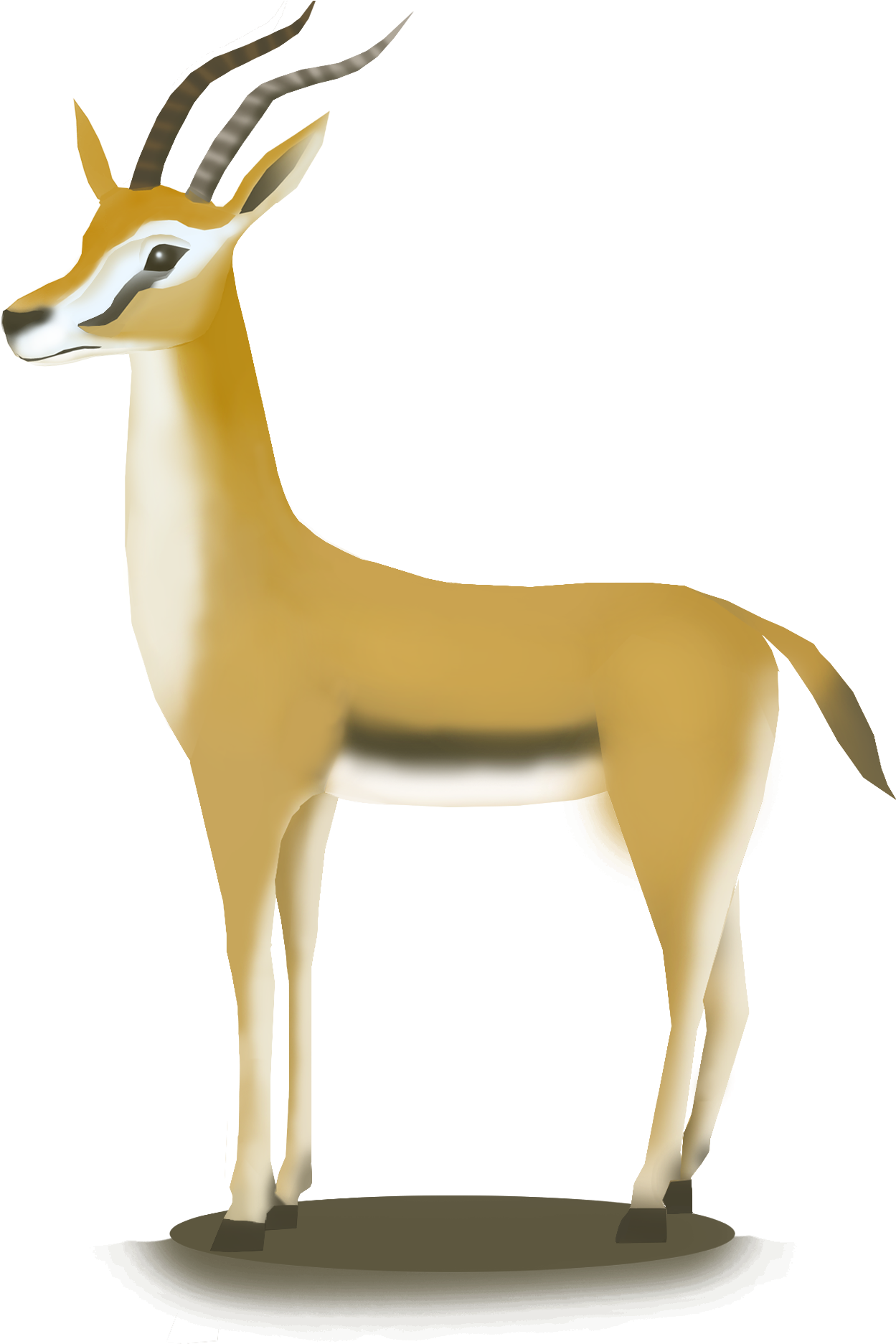 Hand Drawn African Antelope Hd Animal Png And Psd - Thomson's Gazelle (2000x2000), Png Download