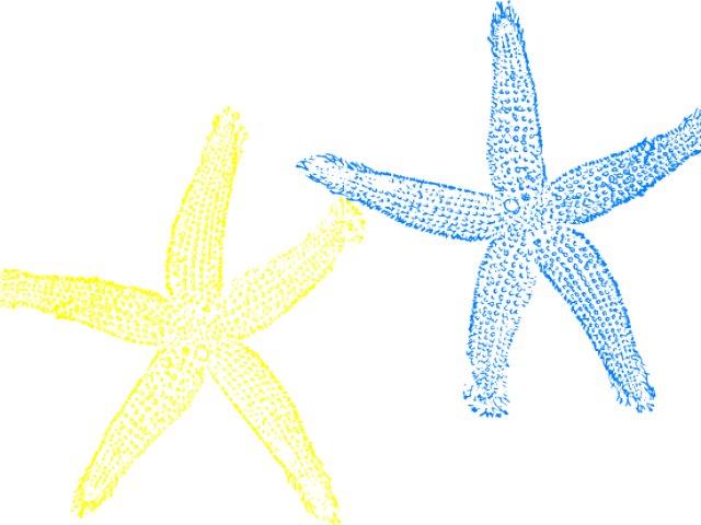 Fish Clip Art (640x480), Png Download