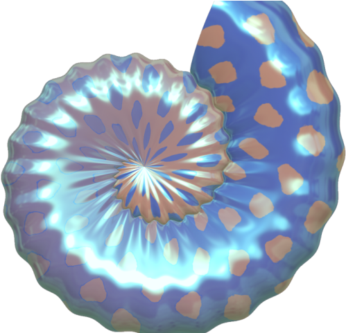 Seaside Clipart Purple Clam Shell - Transparent Seashell (640x480), Png Download