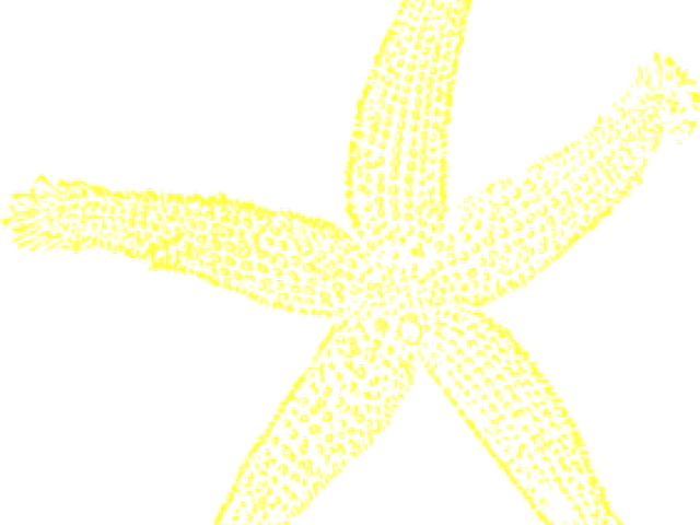 Starfish Clipart Yellow - Fish Clip Art (640x480), Png Download
