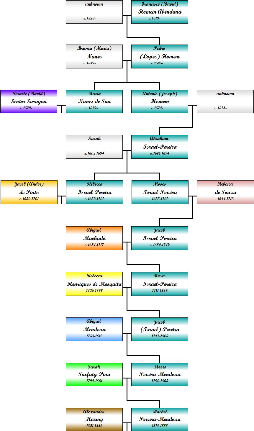 Pereira Mini-tree - Style (886x1505), Png Download