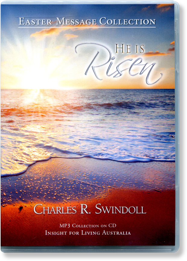 Loading Zoom - Poster (650x893), Png Download