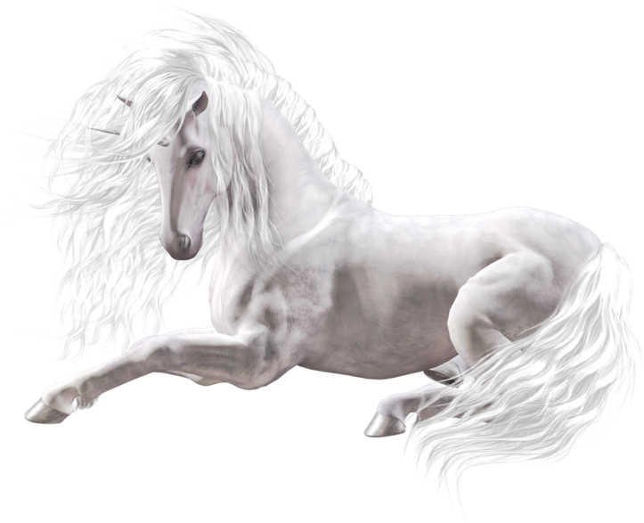 White Black Horse Png - Zaginiony Świat Koni Książka (800x800), Png Download