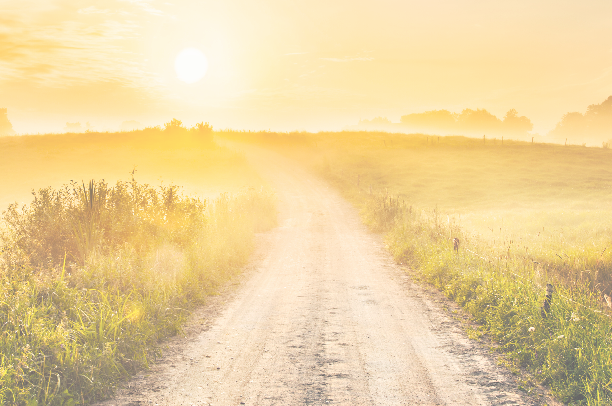 Christ The Lord Is Risen Today - Weg Zum Licht (1234x819), Png Download