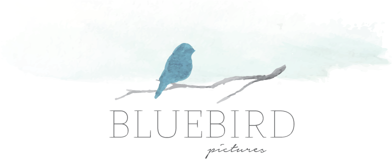 Bluebird Pictures // Bree Fowles - Poster (1057x348), Png Download