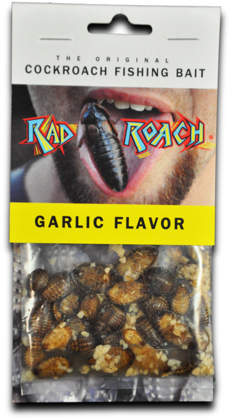 The Original Cockroach Fishing Bait (498x851), Png Download