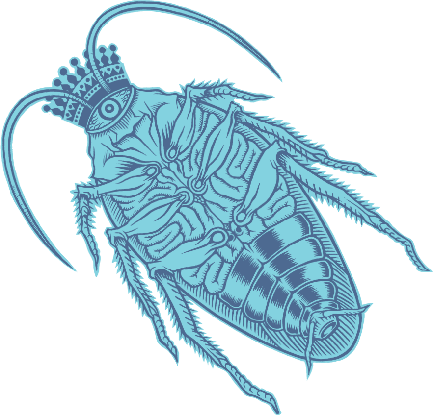 King Of Roach@identity - House Fly (882x847), Png Download