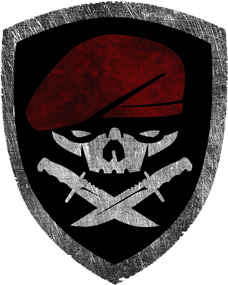Zeleniski Raiders - Medal Of Honor Tier 1 (589x630), Png Download