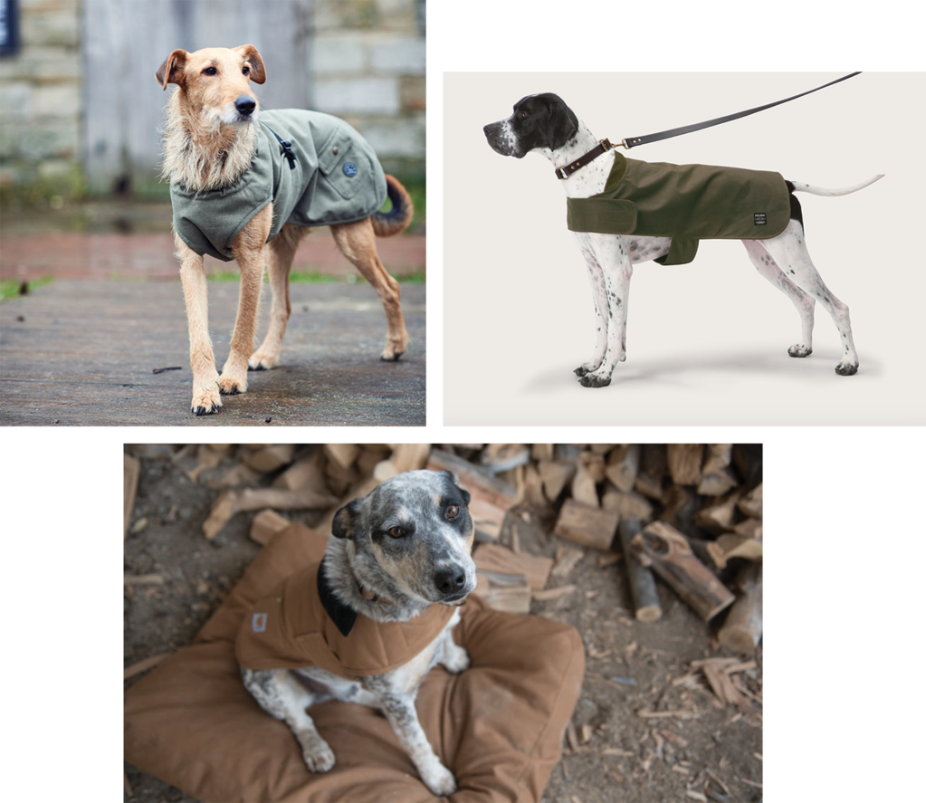 Ultimate Dog Coat Guide - Great Dane (1023x887), Png Download