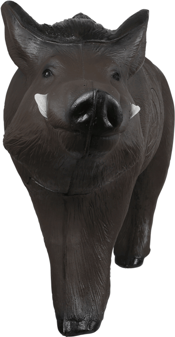 Russian Boar Archery Target - Boar (800x800), Png Download