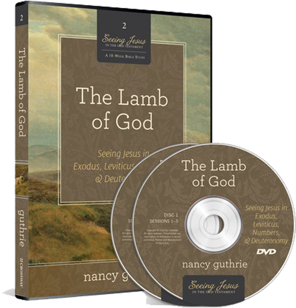 Lamb Of God Dvd - Cd (576x600), Png Download