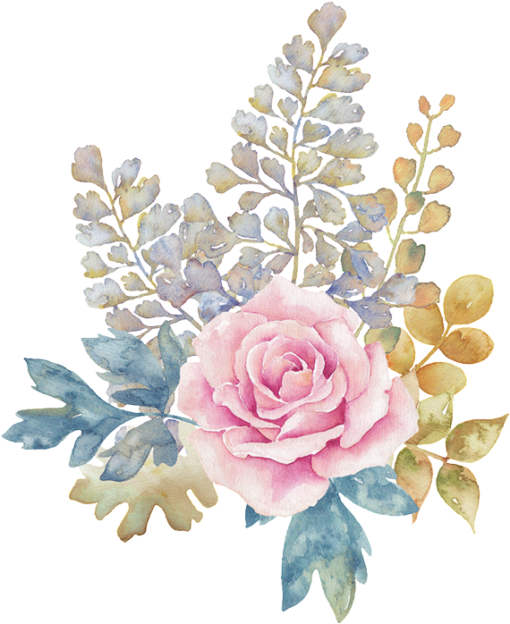 This Graphics Is Pastel Flower Transparent Decorative- - Pink Flower Watercolor Png (570x698), Png Download