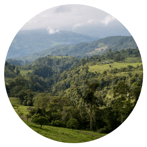 The Beach In Costa Rica, But If You Are Looking For - Hill (600x600), Png Download