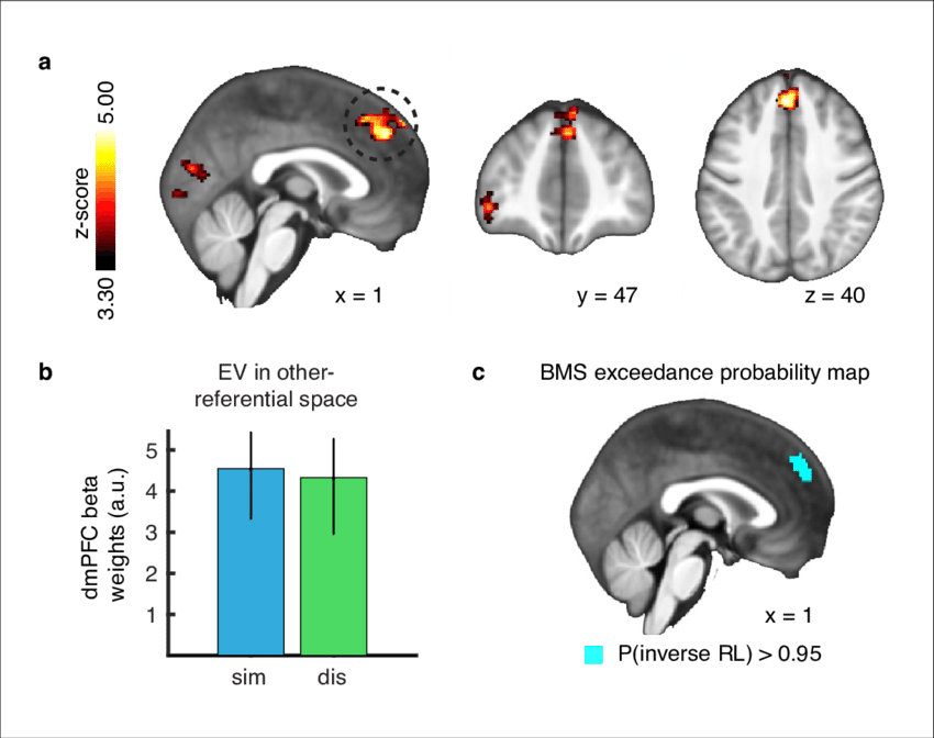 Outcome Prediction Signals In Agent-referential Preference - Diagram (850x672), Png Download