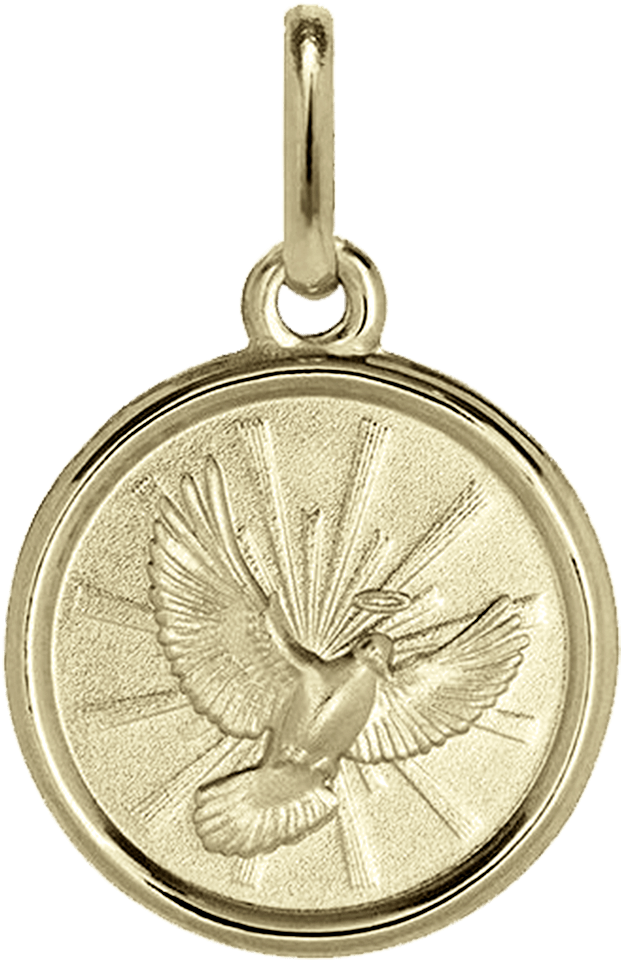 Iniciomedallas De Platamedalla Del Espíritu Santo Dorada - Medalla De Oro Espiritu Santo (1200x1600), Png Download