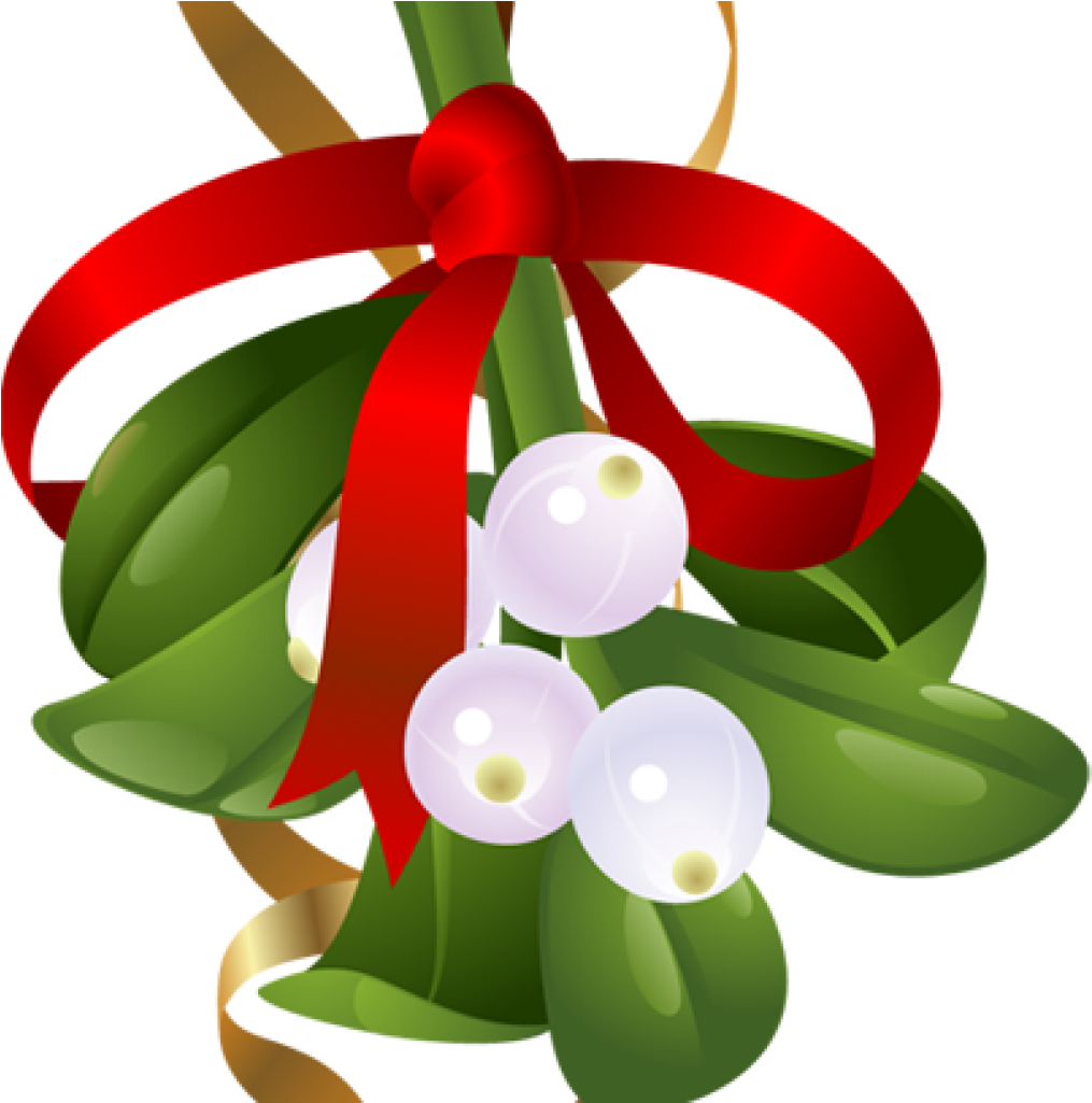 Free Mistletoe Clipart Mistletoe Clip Art 11 Mistletoe - Christmas Mistletoe Png Transparent (1024x1024), Png Download