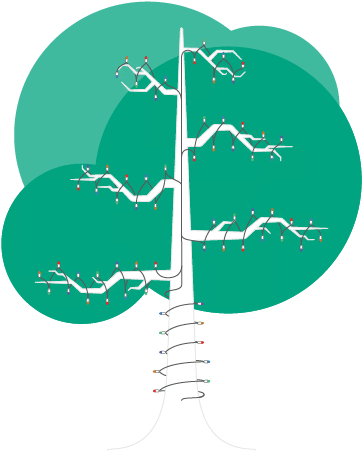 Decidous Tree - Christmas Tree (581x581), Png Download