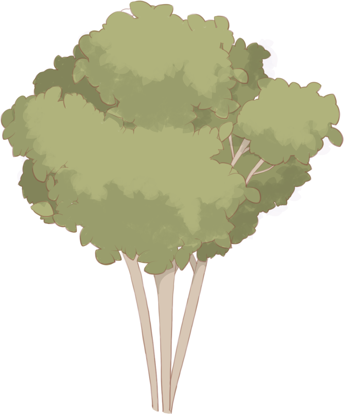 Hand Painted Plants Flowers Trees Png And Psd - Plane (2000x2000), Png Download
