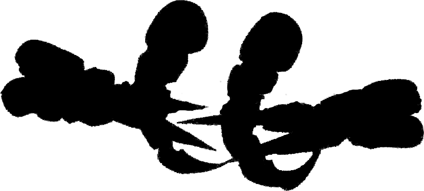 Feraajaba - Gnosis Symbol Werewolf The Apocalypse (856x385), Png Download