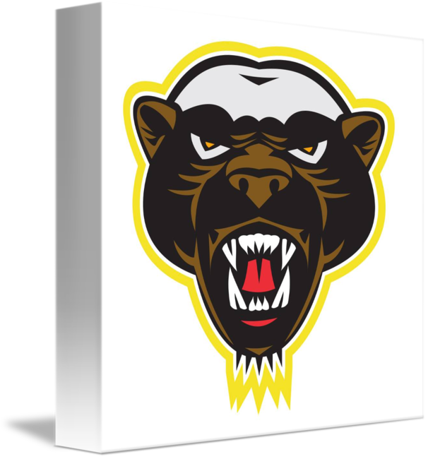 Head By Aloysius Patrimonio - Honey Badger (606x650), Png Download