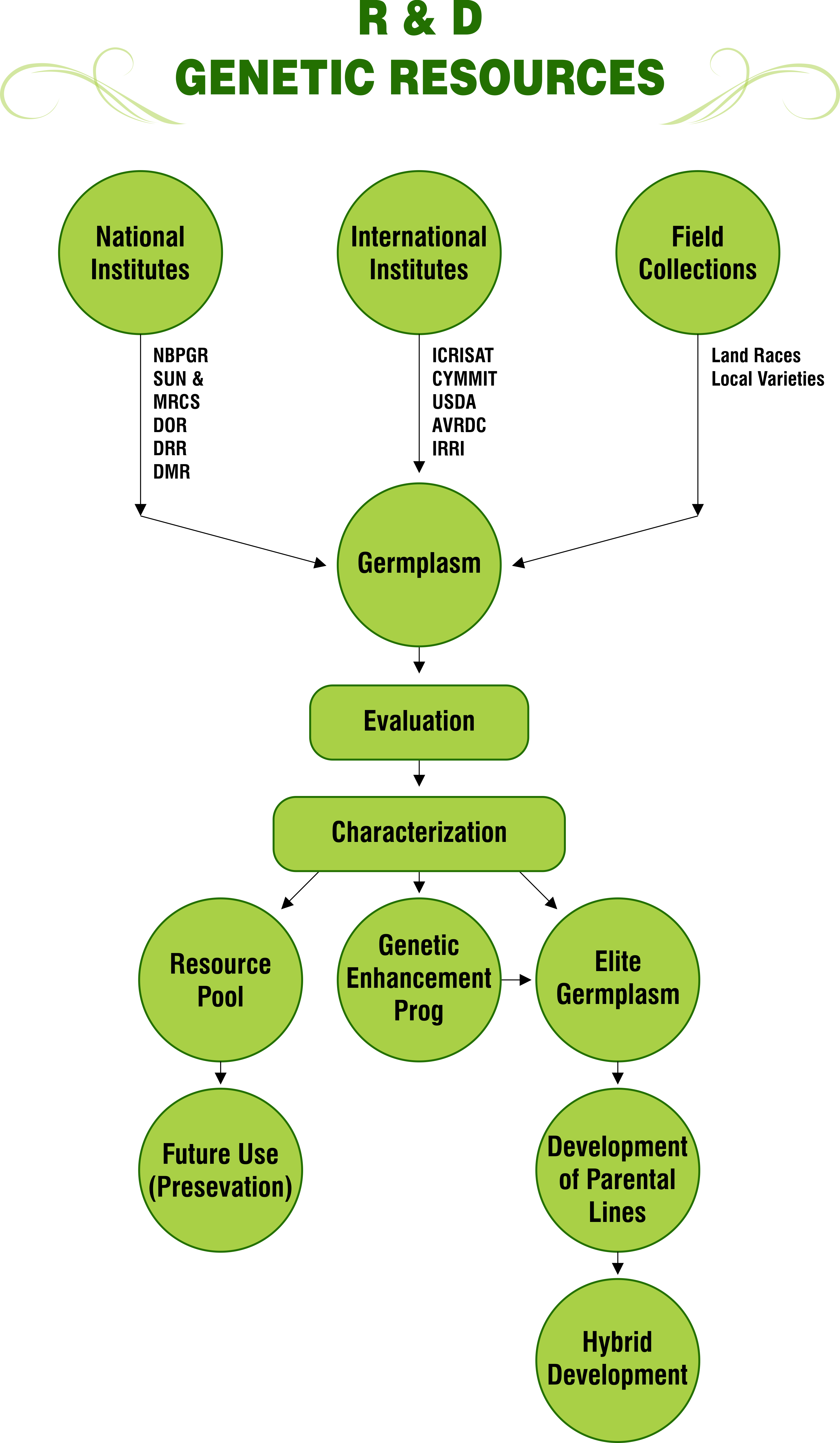 R & D Genetic Resources Png - Genetic Resources (3018x5183), Png Download