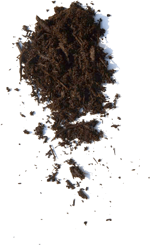Illustration (598x598), Png Download