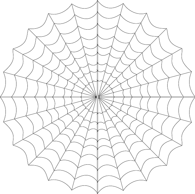 Teia De Aranha Png (640x636), Png Download
