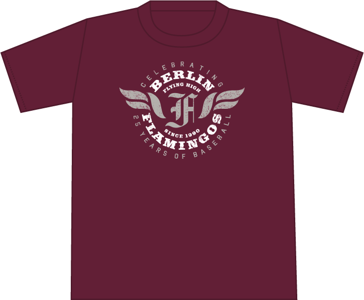 Hollister Crew Neck Core Icon Logo T-shirt Slim Fit - Active Shirt (720x593), Png Download