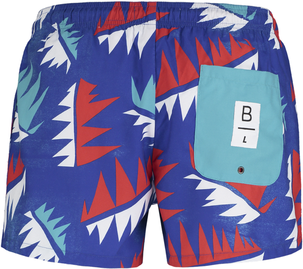 La Palmera Swim Shorts - Board Short (800x1086), Png Download